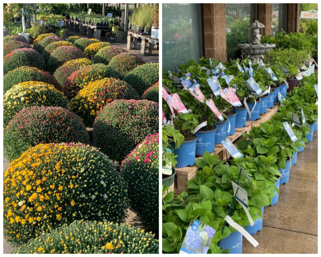 Review Owen Nursery & Florist image 137610