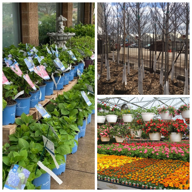 Review Owen Nursery & Florist image 137611