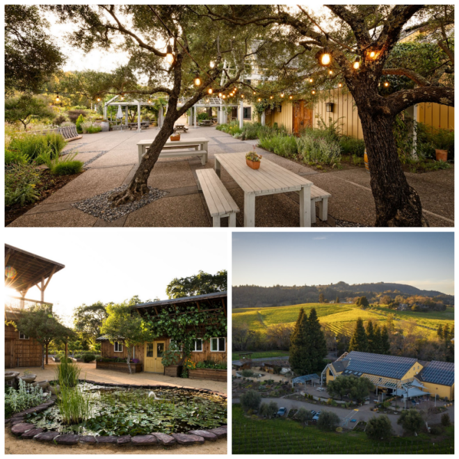Review Quivira Vineyards and Winery image 65711