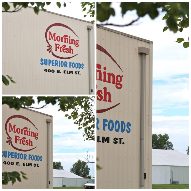 Review Morning fresh superior foods image 323680