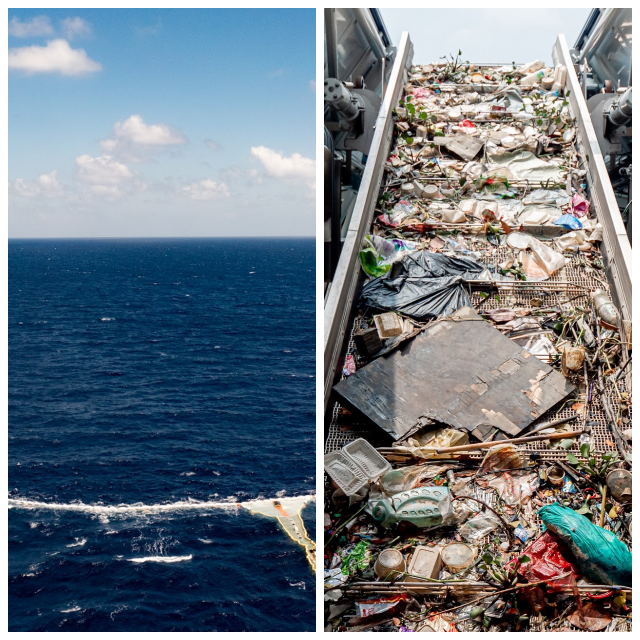 Review Clean Ocean Foundation image 191862