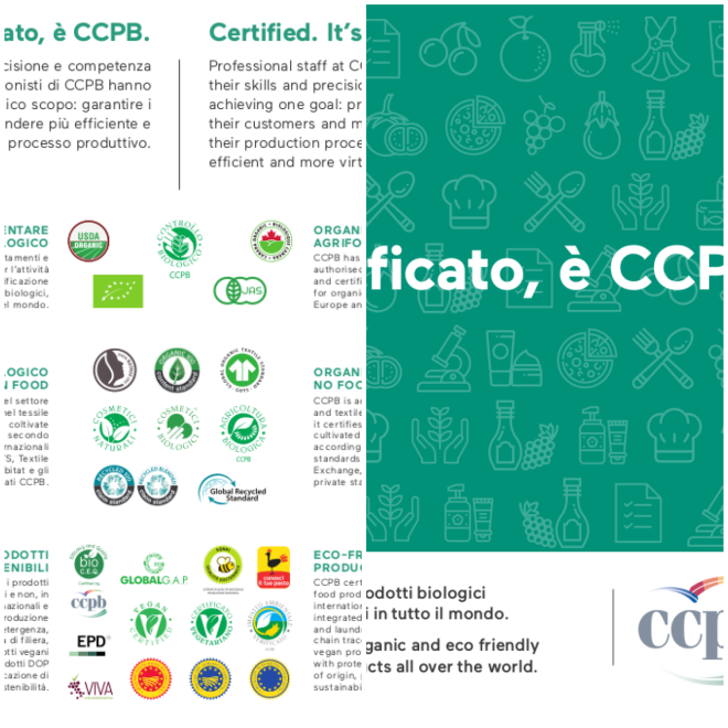 Review Ccpb srl image 3822