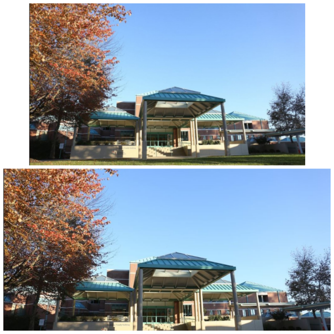 Review Mt. washington pediatric hospital image 244257