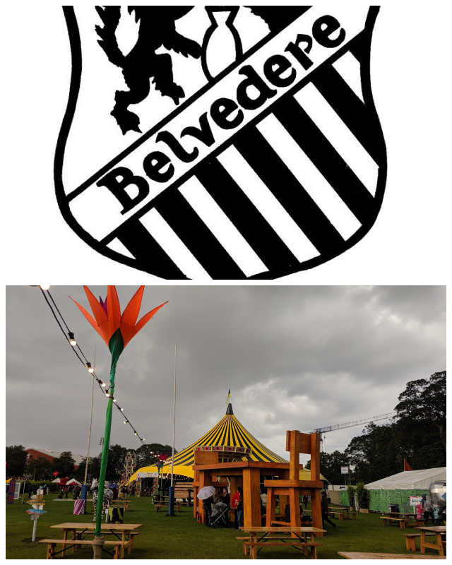 Review Old Belvedere Rugby Club image 231357