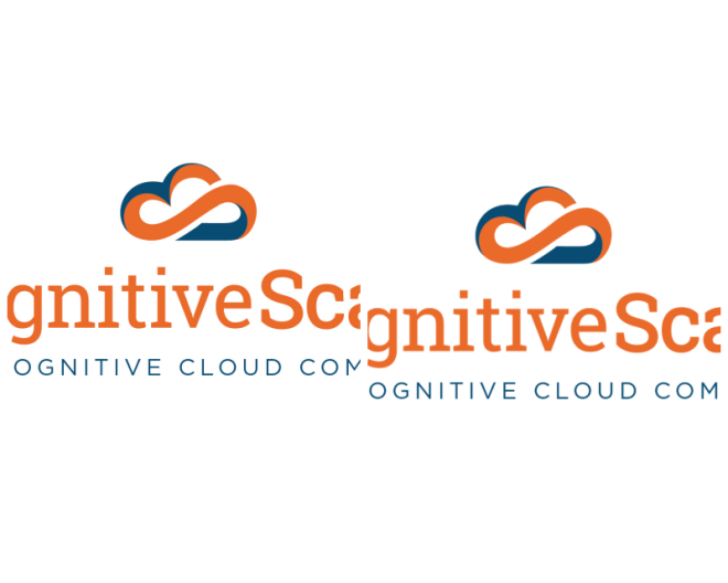 Review Cognitivescale image 258827