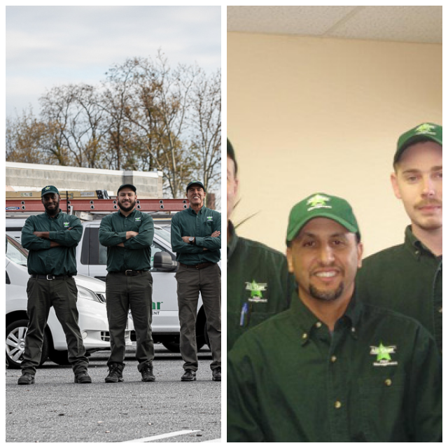 Review All Star Pest Management image 218823