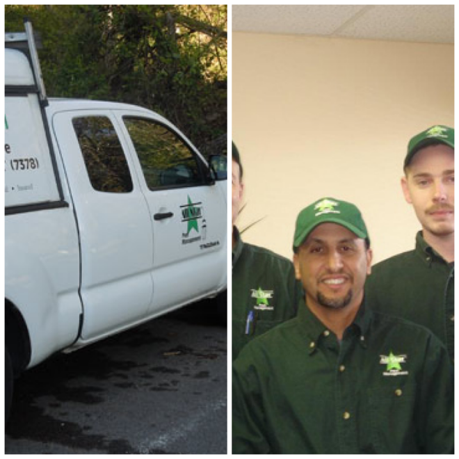 Review All Star Pest Management image 218824