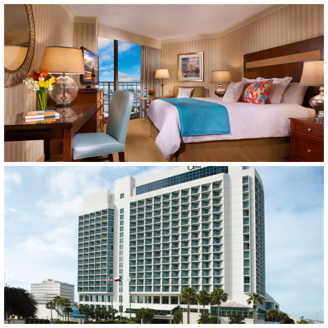 Review Omni Bayfront Corpus Christi image 168530