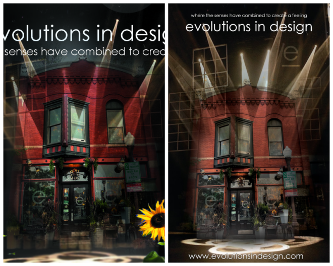 Review Evolutions in design llc image 281958