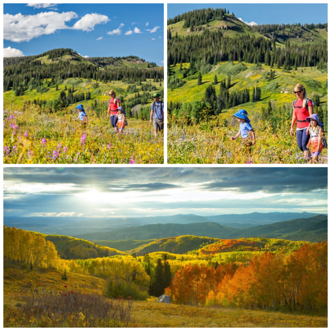 Review Steamboat Springs Chamber Resort Association image 84161
