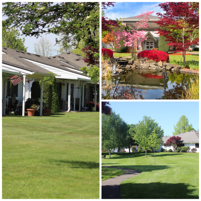 Review Mennonite village continuing care retirement community image 264681