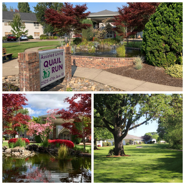 Review Mennonite village continuing care retirement community image 264682