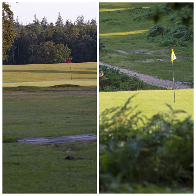 Review Bramshaw Golf Club image 154355