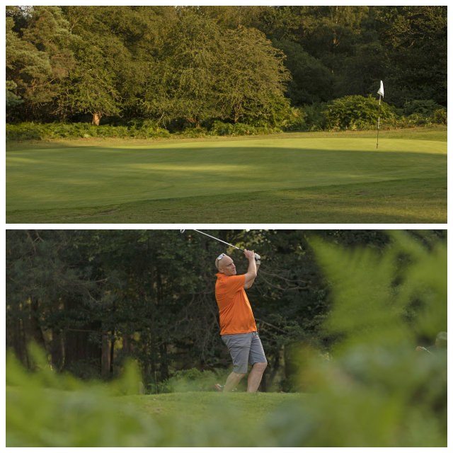 Review Bramshaw Golf Club image 154356