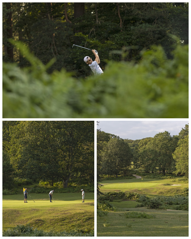 Review Bramshaw Golf Club image 154357