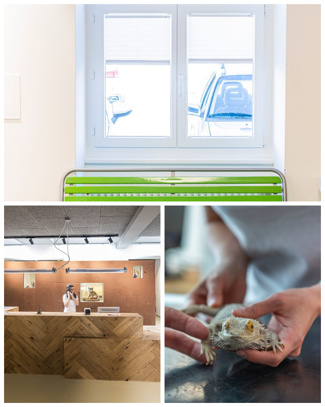 Review Tierklinik Rhenus image 93380