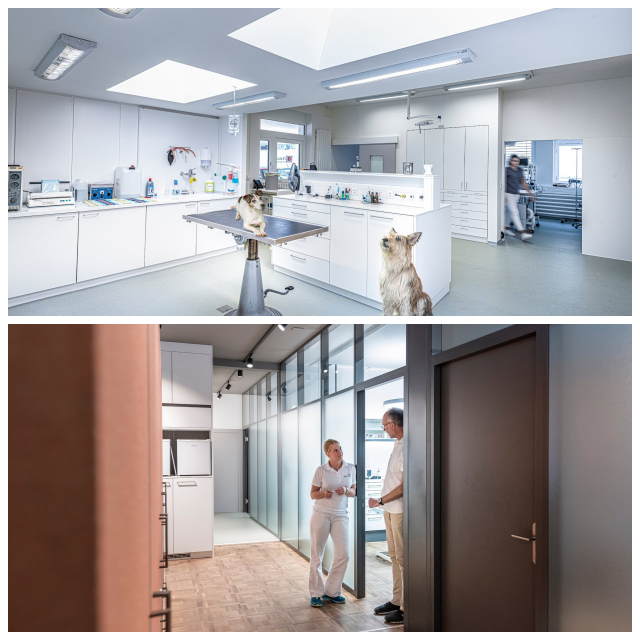 Review Tierklinik Rhenus image 93381