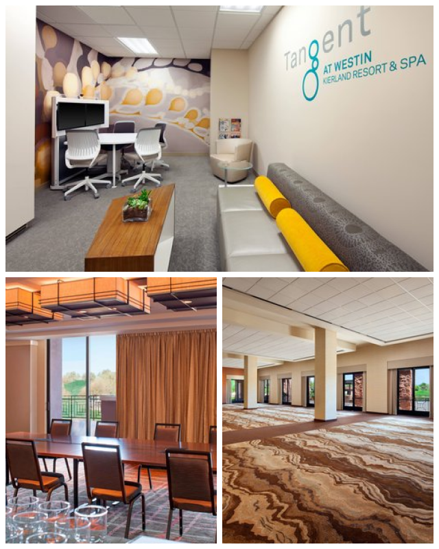 Review The westin kierland resort & spa image 251328