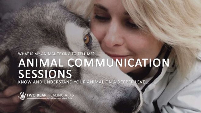 Review Two Bear Healing Arts | Animal Communication + Reiki image 358019