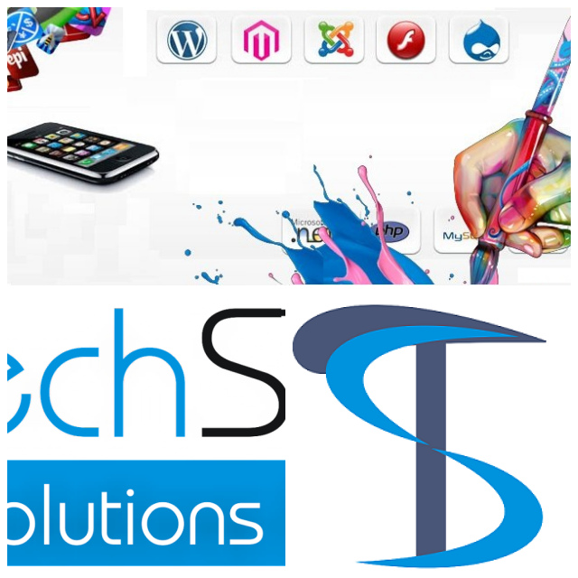Review Techstreet Solutions Private Limited image 49498