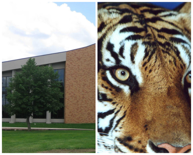 Review Dakota wesleyan university image 245106