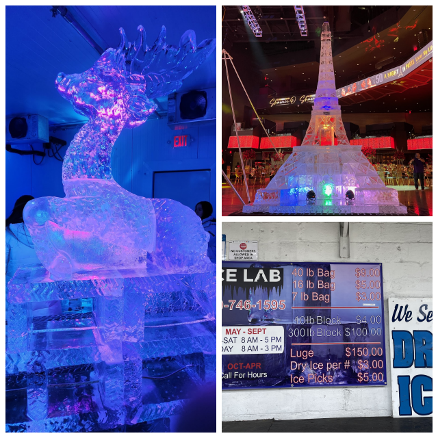 Review Ice Lab Ice Sculptures, INC. image 217437