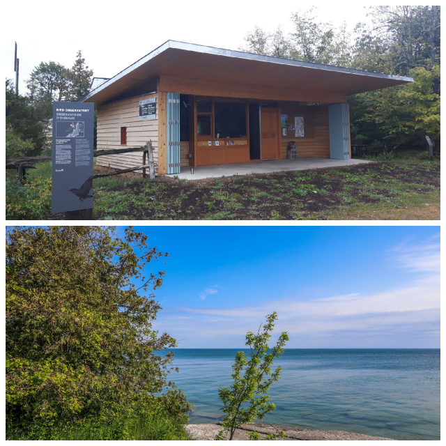 Review Prince Edward Point Bird Observatory image 39249