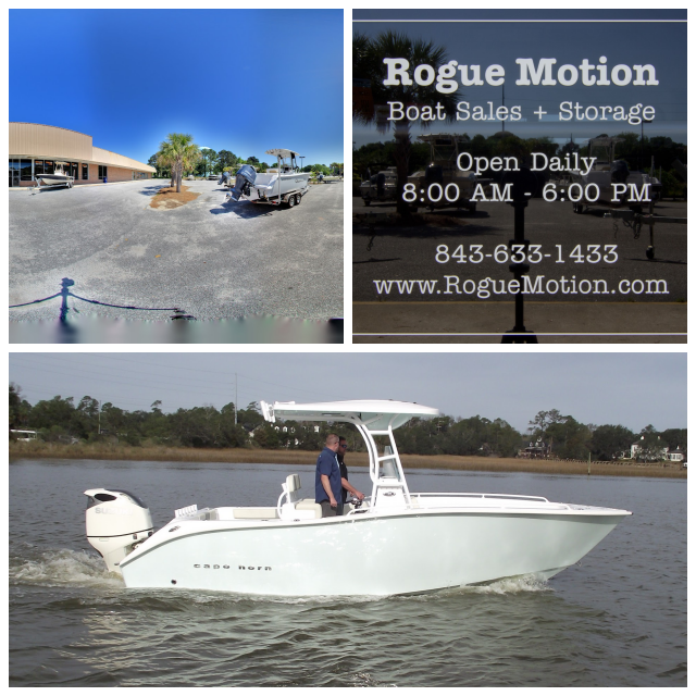 Review Rogue Motion image 130069