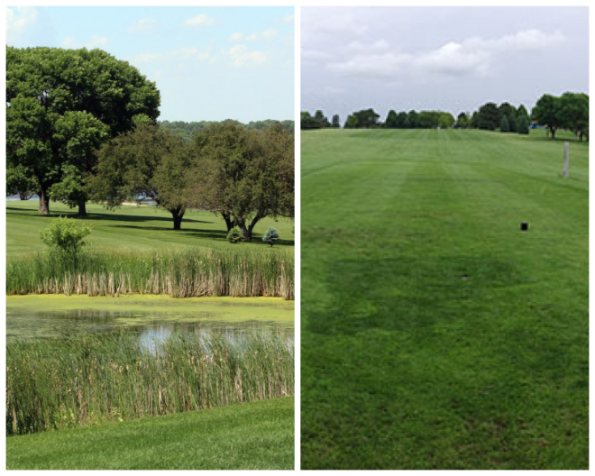Review Holmes Park Golf Course image 121304