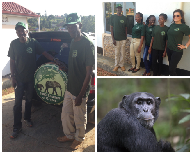 Review 1000 Shades of Green Tour and Safari. image 99038