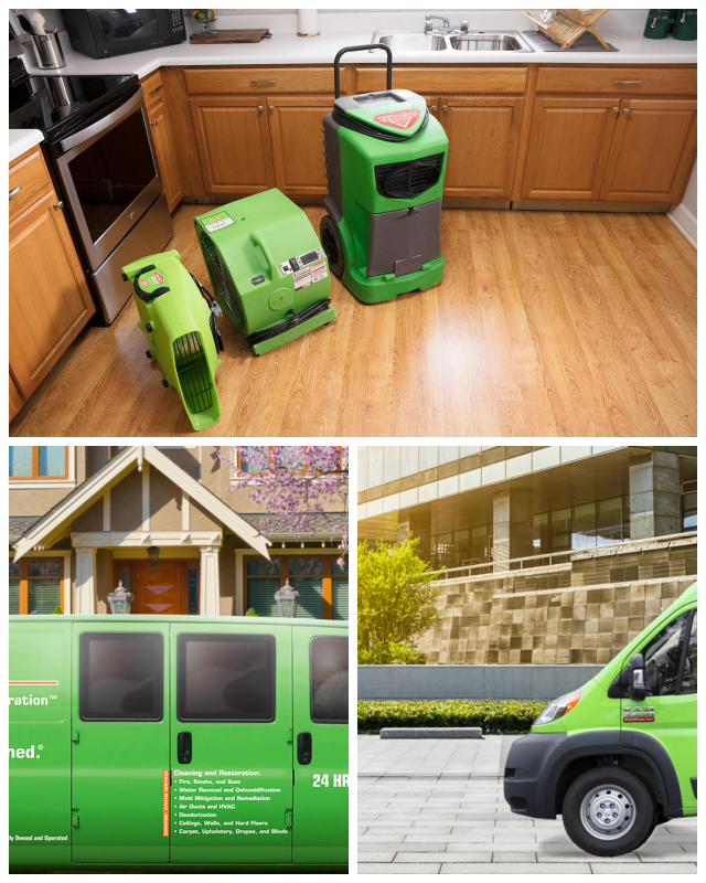 Review Servpro of carson city/douglas county/south lake tahoe image 352787