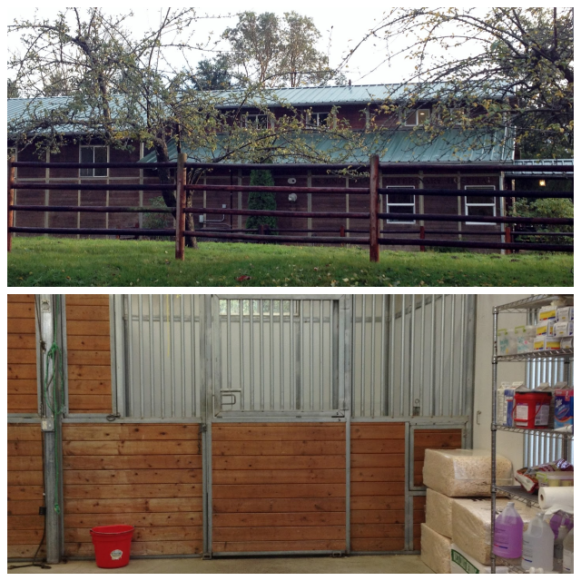 Review Sound Equine image 107159