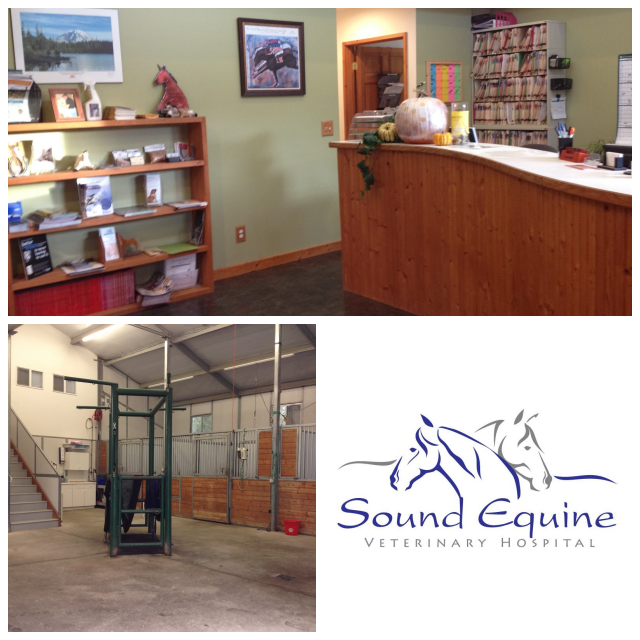 Review Sound Equine image 107160