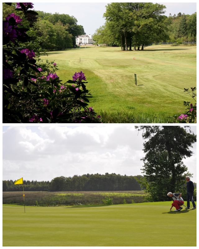 Review Lauswolt Golf And Country Club image 198643