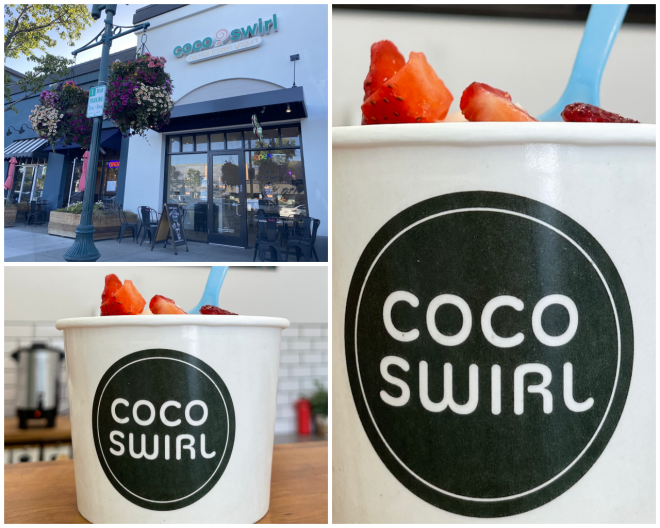 Review CoCo Swirl Frozen Yogurt image 9531