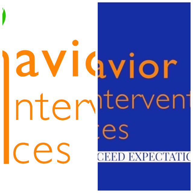 Review Behavior intervention services image 255098