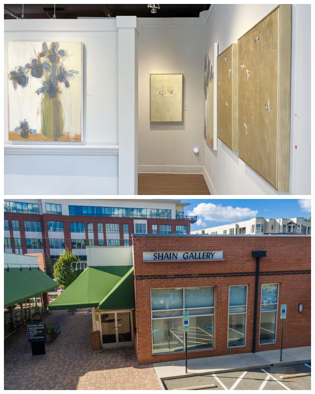 Review Shain gallery image 353224