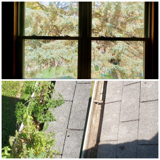 Review Classic Window and Gutter Cleaning image 75632