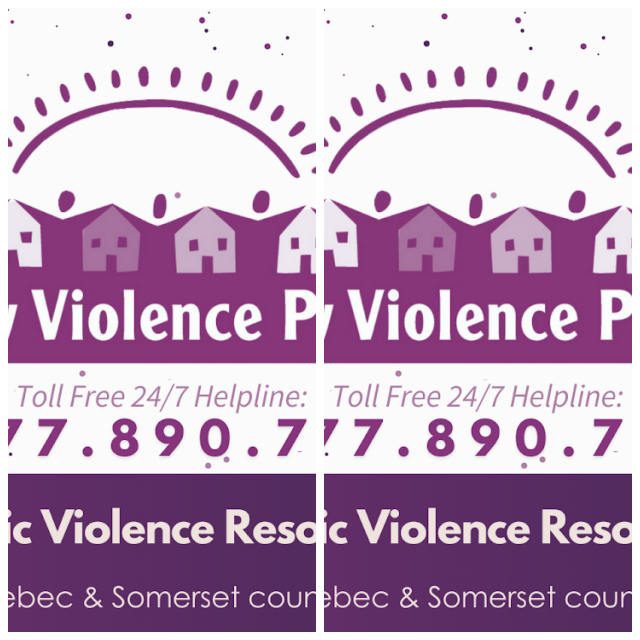 Review The Family Violence Project image 168576