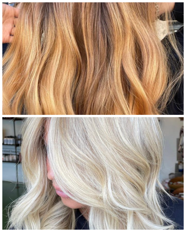 Review Snapdragon salon image 356307