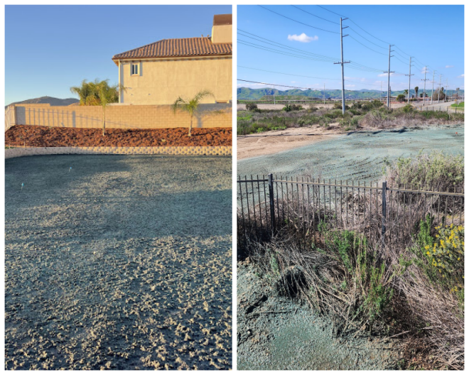 Review Advanced landscape and hydroseeding image 299818