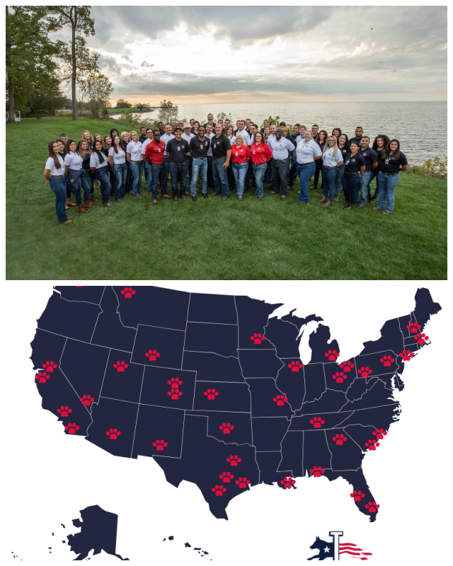 Review Lorenzo's dog training team, llc image 264658