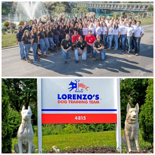 Review Lorenzo's dog training team, llc image 264659