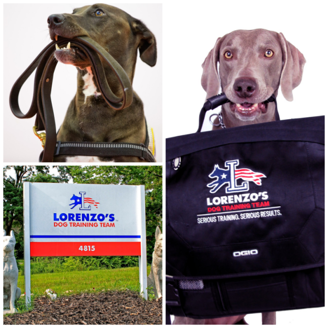 Review Lorenzo's dog training team, llc image 264660