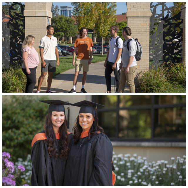 Review Lourdes university image 241671