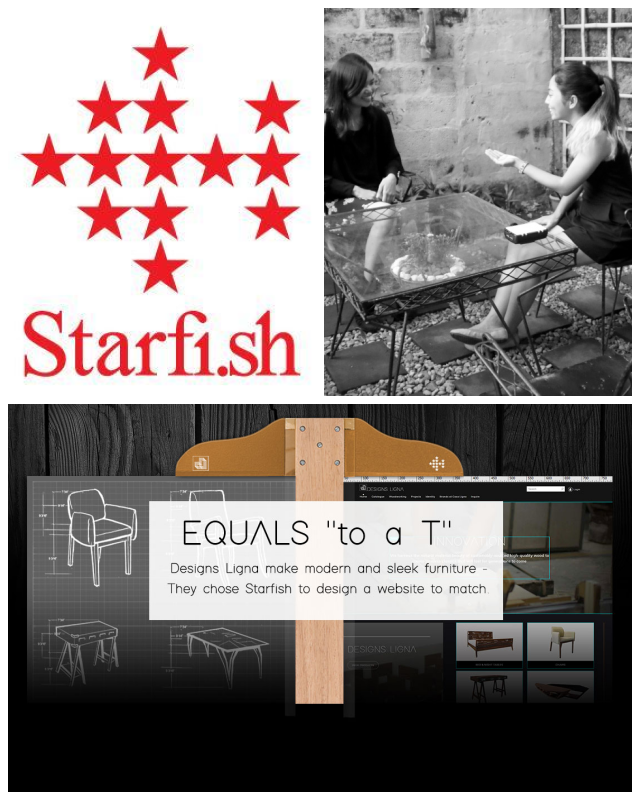 Review Starfish Internet Solutions image 106665