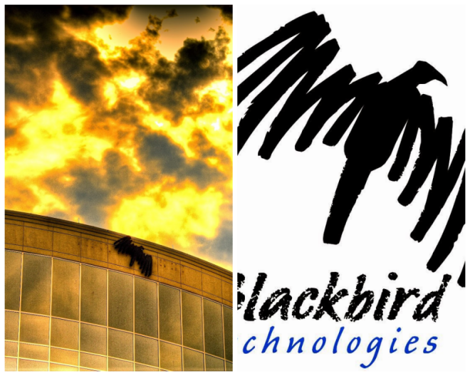 Review Blackbird technologies image 246029