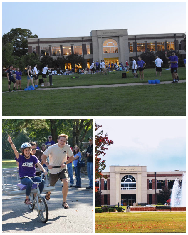 Review University of the ozarks image 244100