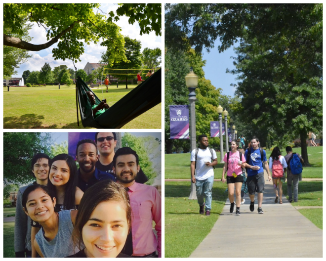 Review University of the ozarks image 244102