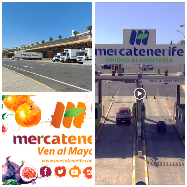 Review MERCATENERIFE, S.A. image 140867